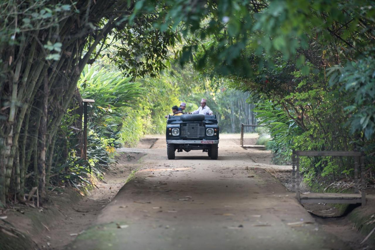 Tiger Tops Tharu Lodge Chitwan Exterior photo