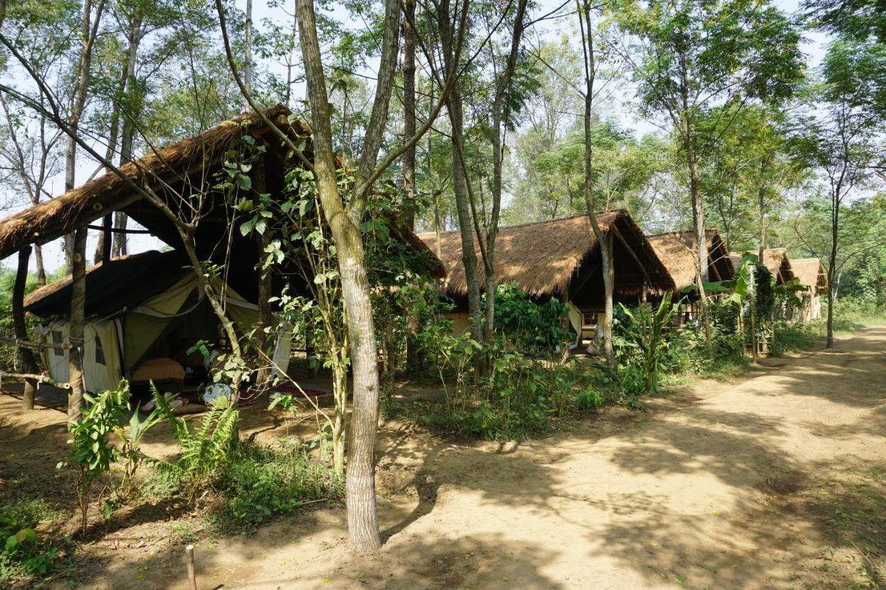 Tiger Tops Tharu Lodge Chitwan Exterior photo