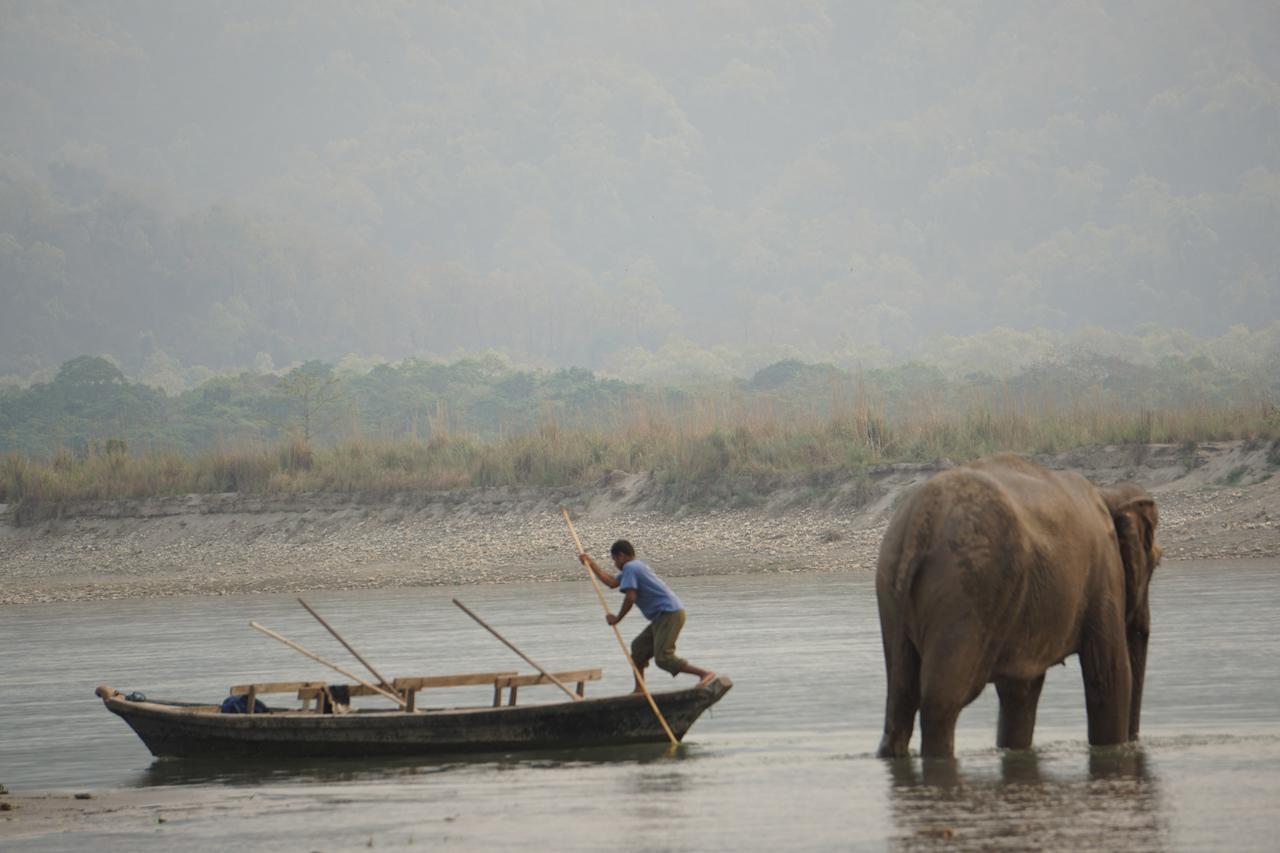 Tiger Tops Tharu Lodge Chitwan Exterior photo