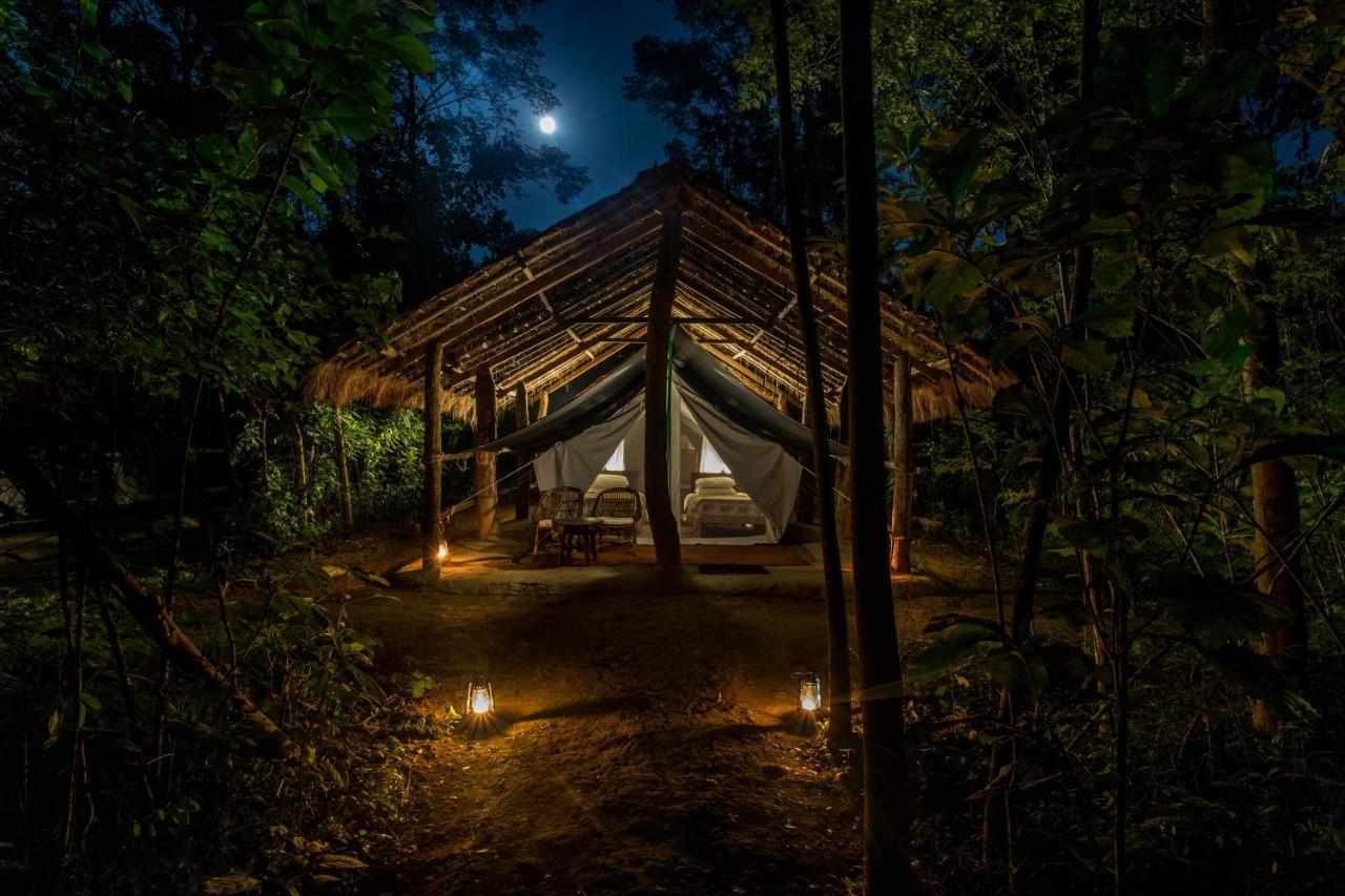 Tiger Tops Tharu Lodge Chitwan Exterior photo