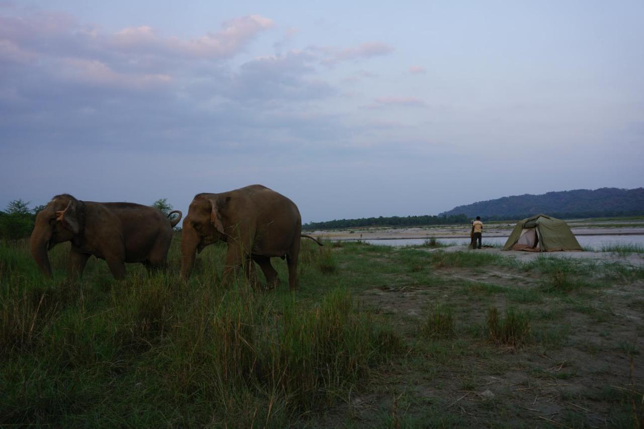 Tiger Tops Tharu Lodge Chitwan Exterior photo