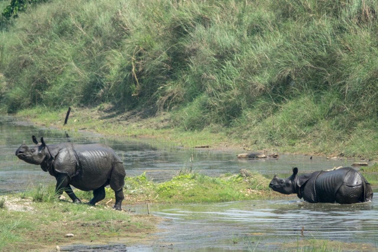 Tiger Tops Tharu Lodge Chitwan Exterior photo